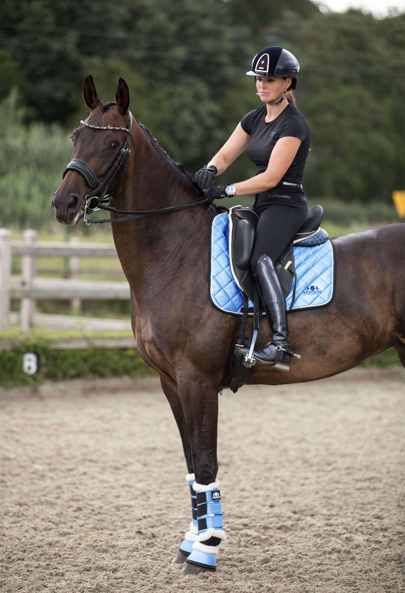Southlake Paws Baby Blue Bell Boots on a horse, rider in black attire, standing in an outdoor arena with a sandy surface.
