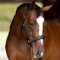 Load image into Gallery viewer, Henri de Rivel Stress Free Halter With Fancy Contrast Stitching - image 3
