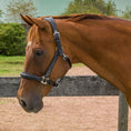 Load image into Gallery viewer, Henri de Rivel Stress Free Halter With Fancy Contrast Stitching - image 2
