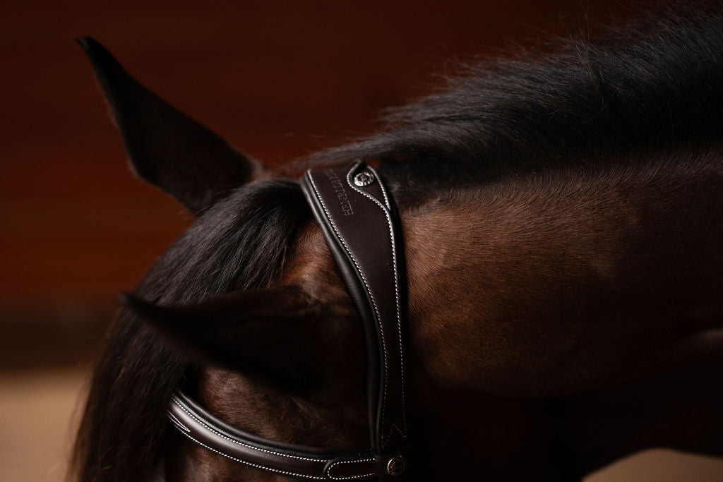 Henri de rivel Jamaika Pro Anatomical Fancy Raised Wide Flash Noseband Bridle with Raised laced reins - image 6