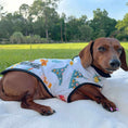 Load image into Gallery viewer, Cabana Club Dog Coat
