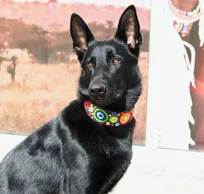 TKC Arani Dots Beaded Dog Collar