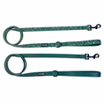 Load image into Gallery viewer, Evergreen Dream Leashes
