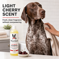 Load image into Gallery viewer, Oatmeal Shampoo - For Dogs With Itchy Skin and Coats - Cherry Scented
