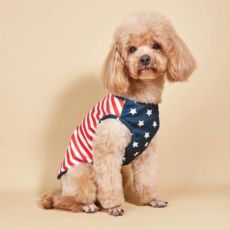 Patriotic Stars & Stripes Dog Shirt - Southlake Paws