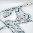 Load image into Gallery viewer, Snowy Slopes Leash
