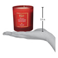 Load image into Gallery viewer, Frosted Cranberry Mandarin Candle - Southlake Paws
