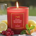 Load image into Gallery viewer, Frosted Cranberry Mandarin Candle - Southlake Paws
