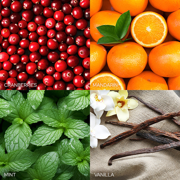 Frosted Cranberry Mandarin Candle - Southlake Paws