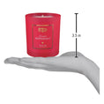 Load image into Gallery viewer, Twisted Peppermint Candle - Southlake Paws
