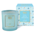 Load image into Gallery viewer, Warm Seas & Greetings Candle - Southlake Paws
