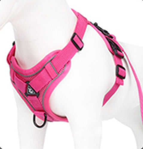 The Ultimate Dachshund Harness 