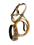 Load image into Gallery viewer, Glam Gold Embossed Studded Italian Leather Collar, Leash & Harness Set With Our Custom Swarovski Crystal Buckle

