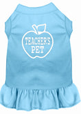 Load image into Gallery viewer, Pet Dress "Teacher's Pet"
