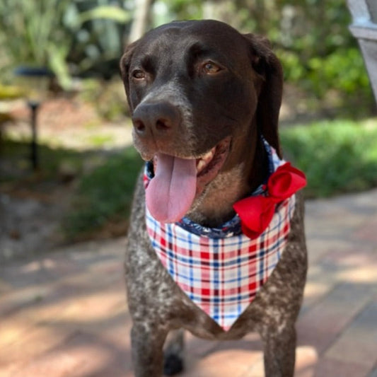 Plaid and Stars Bandana Dog Collar With Bow