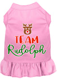 Load image into Gallery viewer, Christmas Pet Dress Screen Printed, "Team Rudolph"
