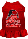Load image into Gallery viewer, Christmas Pet Dress Screen Printed, "You Serious Clark?"
