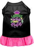 Load image into Gallery viewer, Pet Dress "Laissez Les Bons Temps Rouler"
