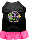 Load image into Gallery viewer, Pet Dress "Throw Me Something Mister"
