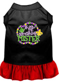 Load image into Gallery viewer, Pet Dress "Throw Me Something Mister"
