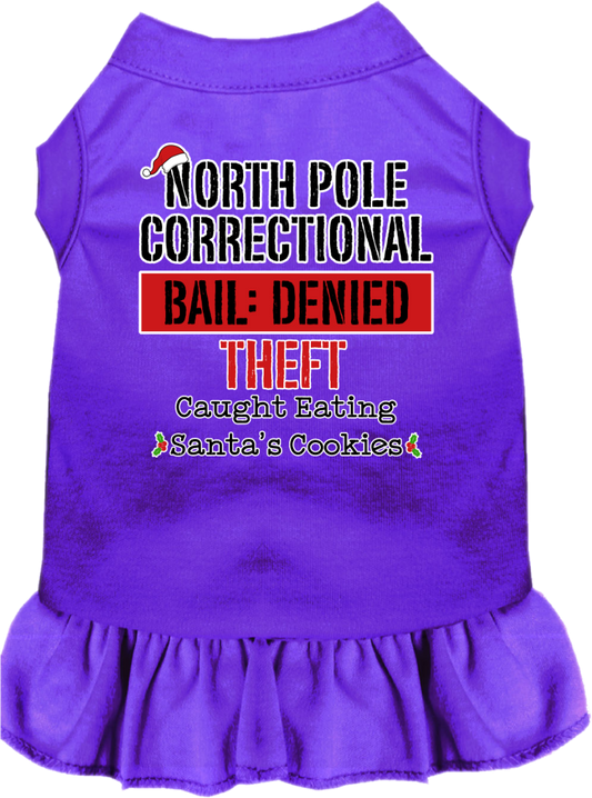 Christmas Pet Dress "North Pole Correctional"