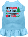 Load image into Gallery viewer, Christmas Pet Dress "He's Making A List, I've Eaten It Twice"
