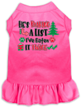 Load image into Gallery viewer, Christmas Pet Dress "He's Making A List, I've Eaten It Twice"
