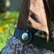 Find Me Apple AirTag Dog Collar Slider
