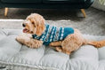 Load image into Gallery viewer, Alpaca Teal Fair Isle Dog Sweater

