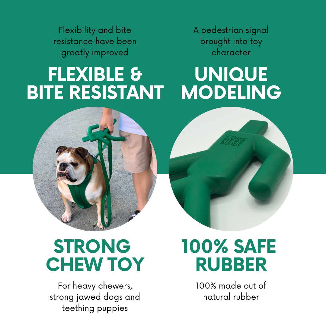 Dog Chew Toy - Southlake Paws