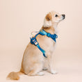 Load image into Gallery viewer, Atlas Dog Harness

