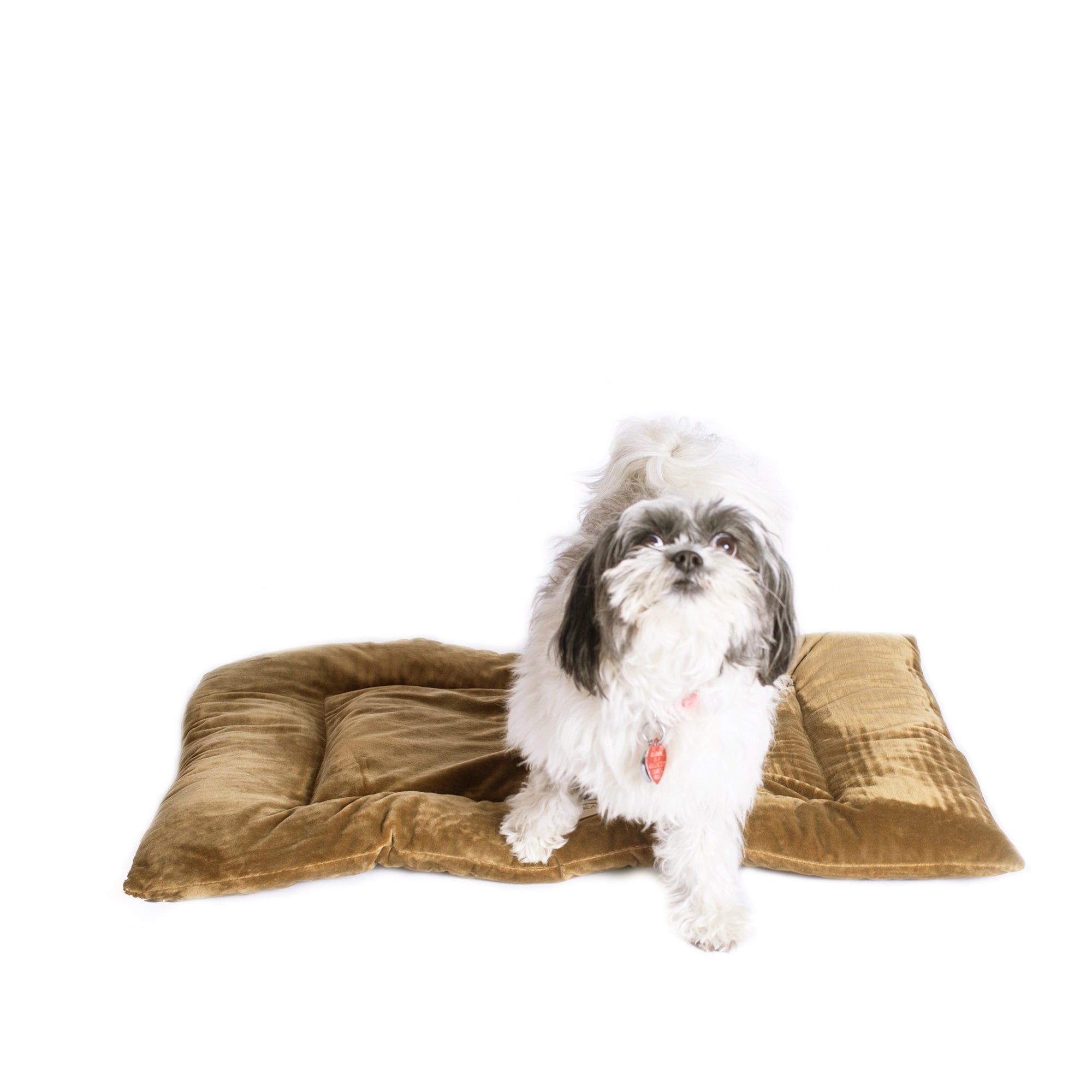 Armarkat Dog Crate Pad M01CHL-M - Sage/Green - Medium