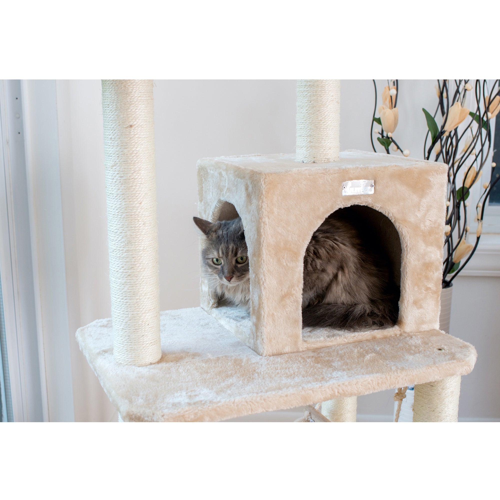 Armarkat Cat Condo GP78570921 - 57-Inch - Beige