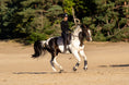 Load image into Gallery viewer, Spaceship Grey Saddle Pad Set
