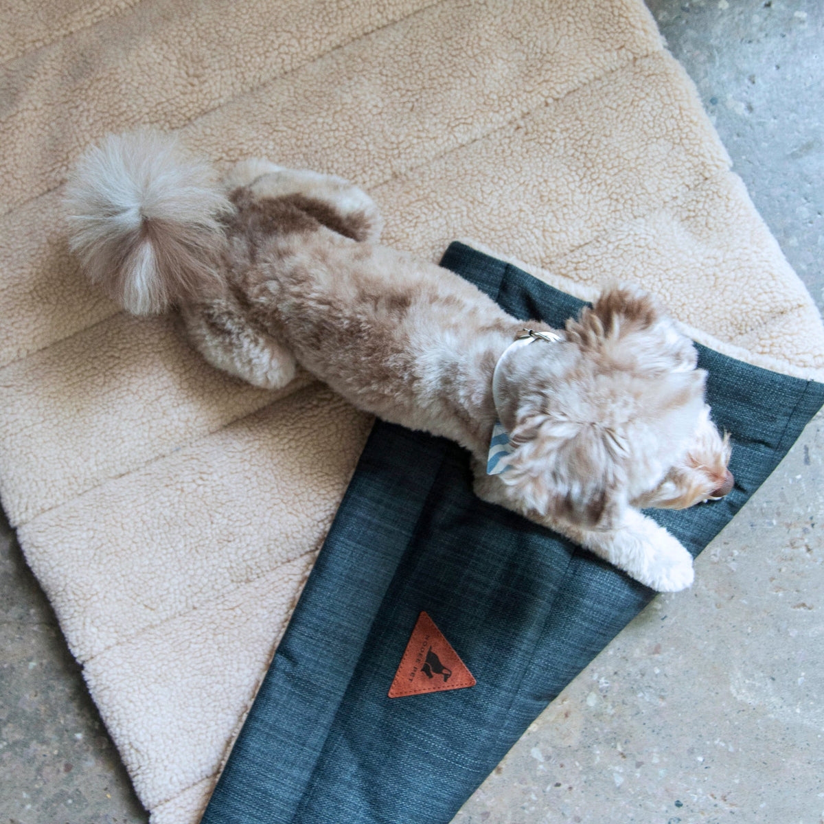 Nooee Pet Mat Jackson