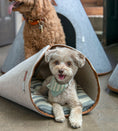 Load image into Gallery viewer, Nooee Pet Nabi Cave-Cream
