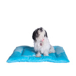 Armarkat M01CTL-M Medium Pet Bed Mat  Dog Crate Soft Pad With Poly Fill Cushion Sky Blue