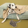 Load image into Gallery viewer, Pet Toy - Stingray - Southlake Paws
