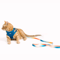 Load image into Gallery viewer, Atlas Cat Harness & Leash Set
