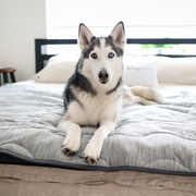 PupChill™ Cooling Waterproof Blanket - Arctic Grey 