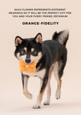 Load image into Gallery viewer, PARADISE PET TOY- Erysimum
