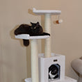 Load image into Gallery viewer, Armarkat Classic Cat Condo B6203 - Ivory
