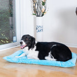 Armarkat M01CTL-L Large Pet Bed Mat  Dog Crate Soft Pad With Poly Fill Cushion Sky Blue