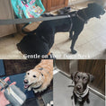 Load image into Gallery viewer, Dark Grey Velvet Set
