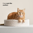 Load image into Gallery viewer, Kip Cat Cushion
