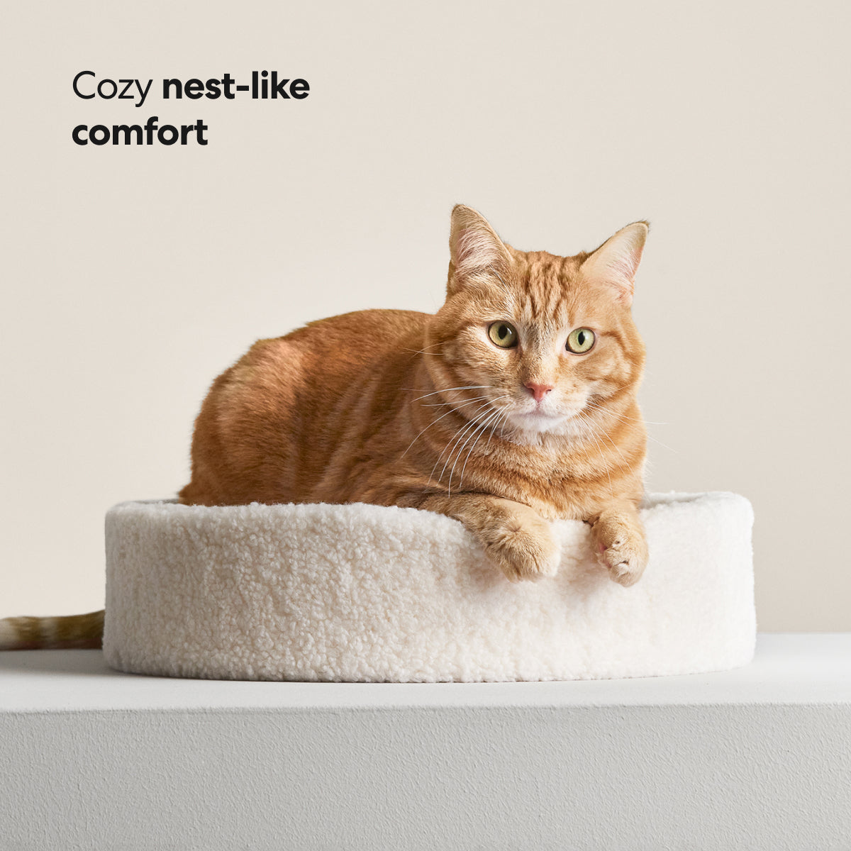 Kip Cat Cushion