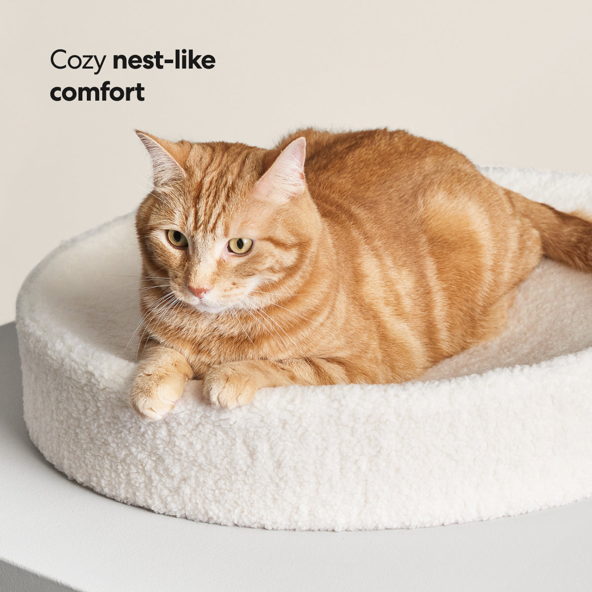 Kip Cat Cushion - Southlake Paws