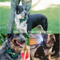 Load image into Gallery viewer, Green Feather Velvet Set
