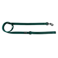Load image into Gallery viewer, Evergreen Dream Leashes
