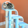 Load image into Gallery viewer, Armarkat Cat Furniture B3803 - 38-Inch - Sky/Blue
